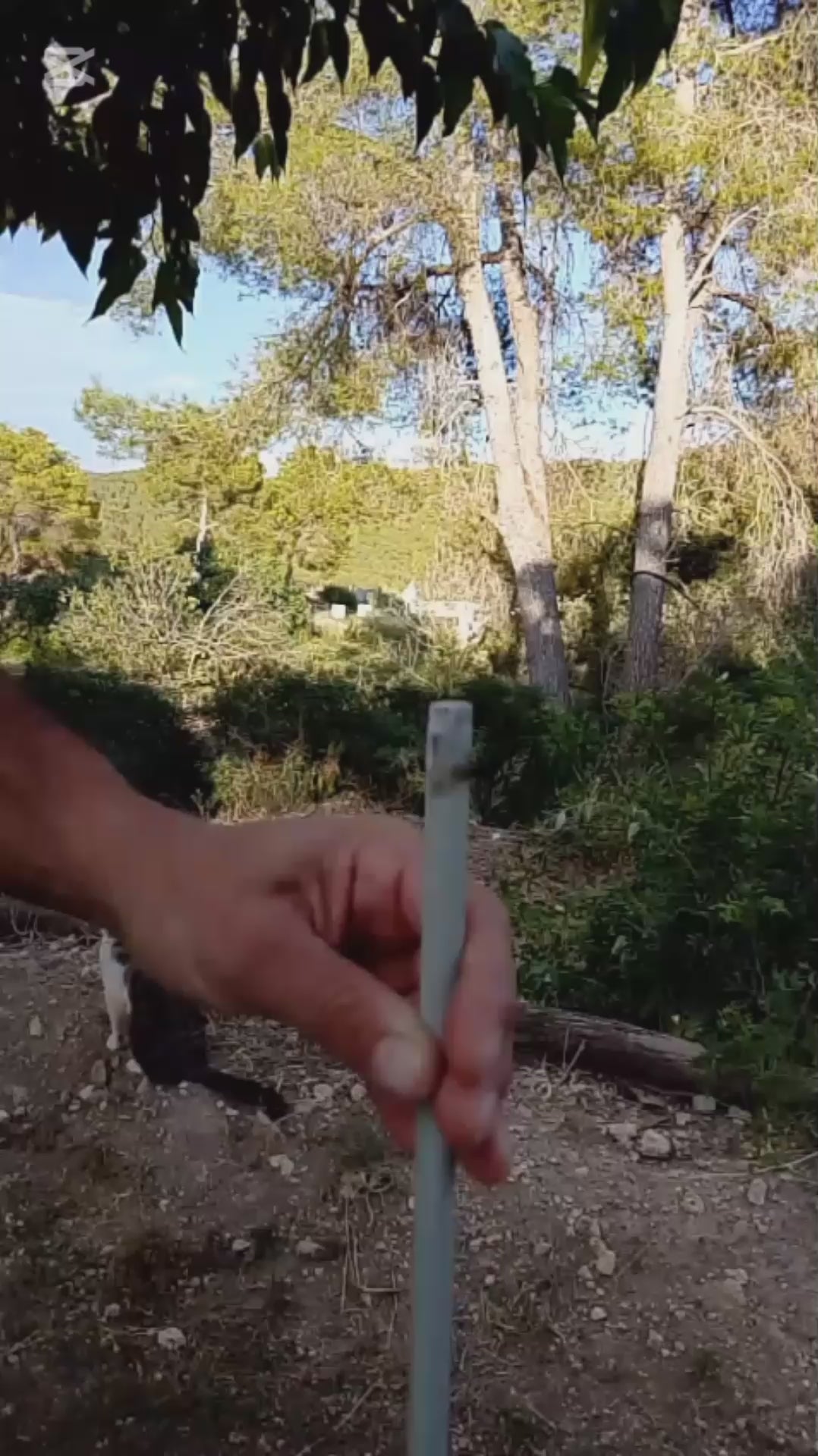 cubre manos para clavar piquetas de cercados eléctricos
